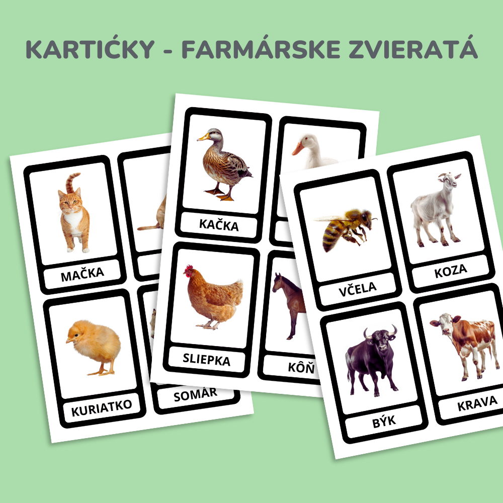 Zvieratá