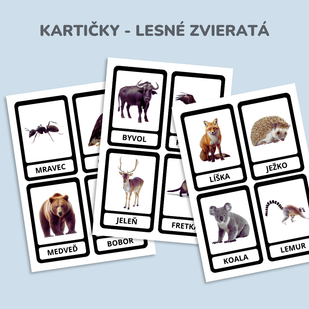 Zvieratá