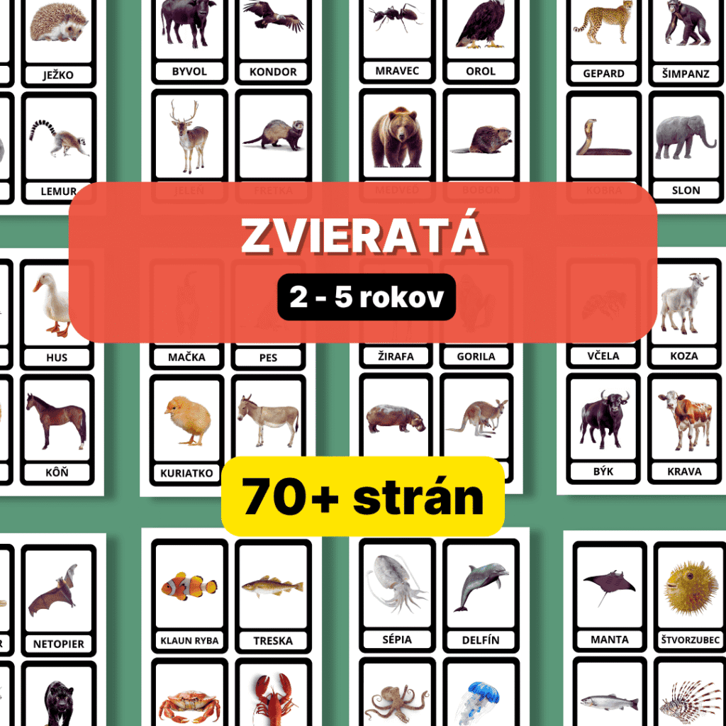 Zvieratá