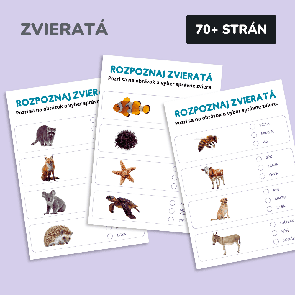 Predškolský program (2-5 rokov)